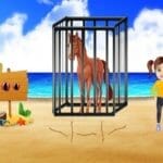 Beach Horse Escape