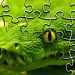 Snakes Jigsaw Puzzle